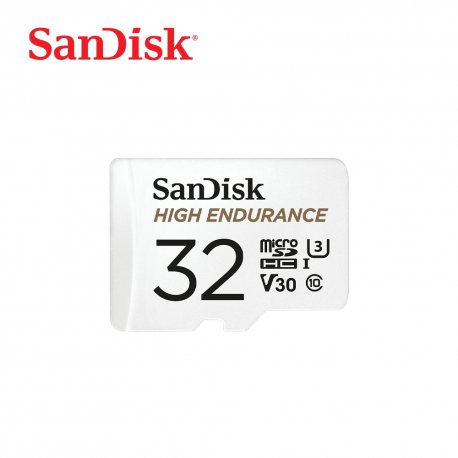 SanDisk High Endurance Class 10 microSD